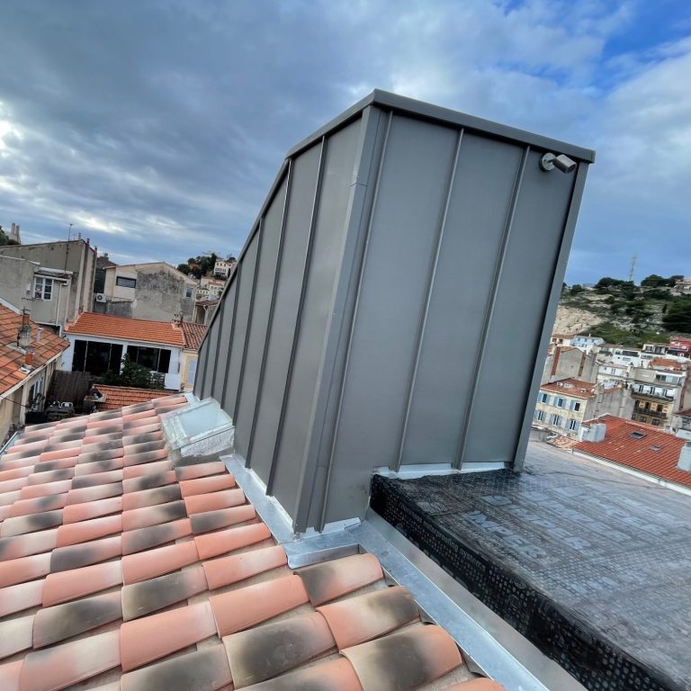 Toit en tuiles avec une structure en zinc quartz et un ciel nuageux en arrière-plan.